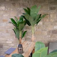 Kunstig Bananpalme. 170 Cm.