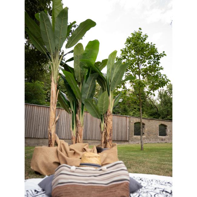 Kunstig Bananpalme. 170 Cm.
