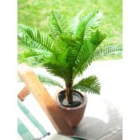 Kunstig Cycas Koglepalme 70 Cm.