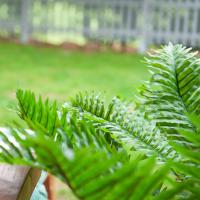 Kunstig Cycas Koglepalme 70 Cm.