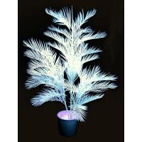Kunstig Kentia Palme. Hvid. Uv Aktiv 170 Cm.