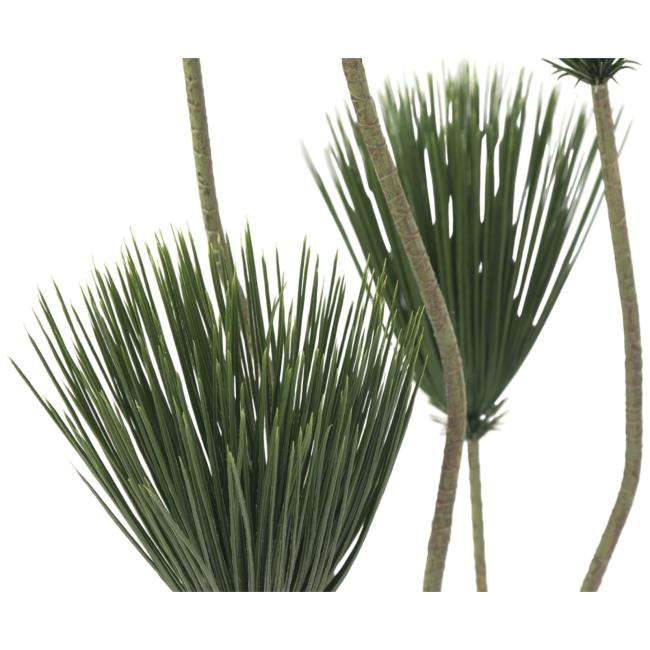 Kunsig Papyrus Plante. 130 Cm.