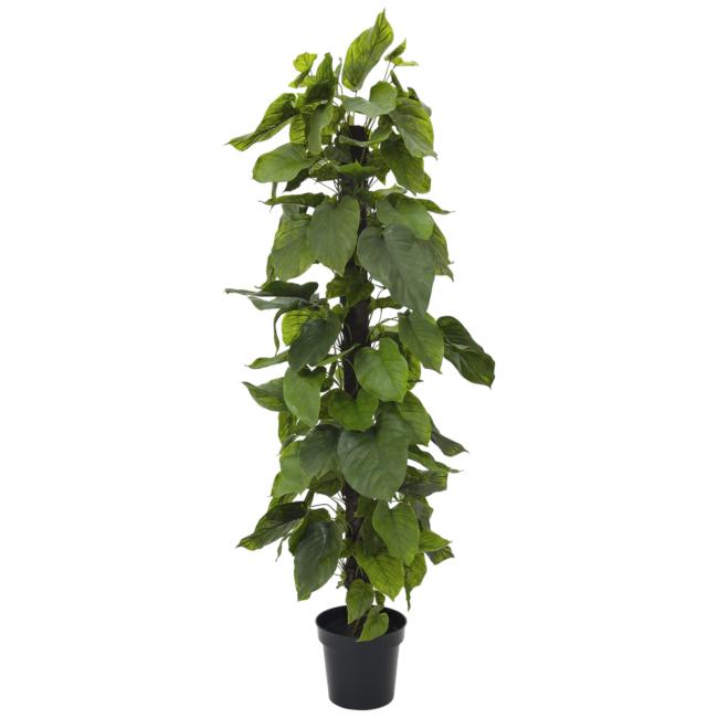 Kunstig Pothos Plante. 180 Cm.