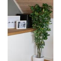 Kunstigt Schefflera Paraplytræ. 120 Cm.